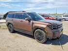 2024 Hyundai Santa Fe Calligraphy Brown vin: 5NMP54GL1RH067517
