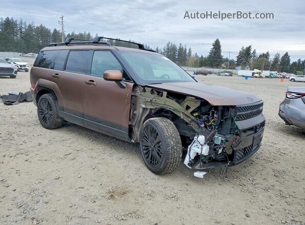 5NMP5DG12SH044316 2025 HYUNDAI SANTA FE CALLIGRAPHY Brown Przód prawy