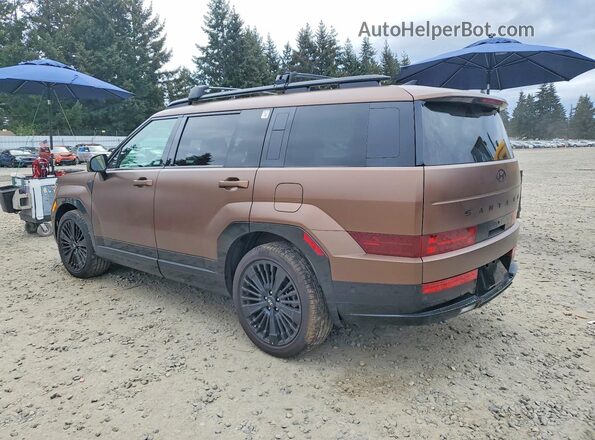 5NMP5DG12SH044316 2025 HYUNDAI SANTA FE CALLIGRAPHY Brown Tył lewy