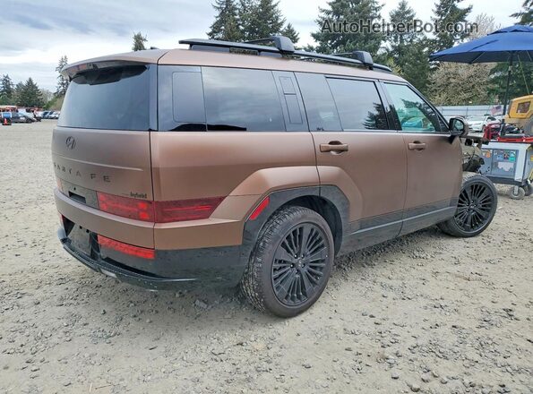 5NMP5DG12SH044316 2025 HYUNDAI SANTA FE CALLIGRAPHY Brown Tył prawy