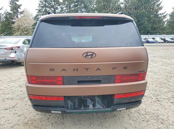5NMP5DG12SH044316 2025 HYUNDAI SANTA FE CALLIGRAPHY Brown Widok z tyłu