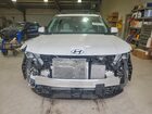 2025 Hyundai Santa Fe Calligraphy White vin: 5NMP5DG19SH046287 2025 Hyundai Santa Fe Calligraphy White vin: 5NMP5DG19SH046287