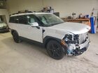 2025 Hyundai Santa Fe Calligraphy White vin: 5NMP5DG19SH046287 2025 Hyundai Santa Fe Calligraphy White vin: 5NMP5DG19SH046287