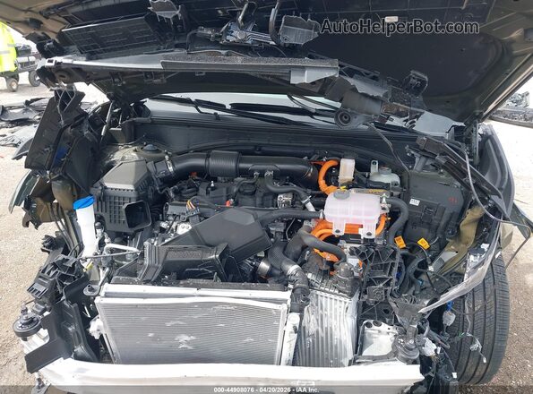 5NMP5DG19SH069617 2025 HYUNDAI SANTA FE HYBRID Green Вид ззаду