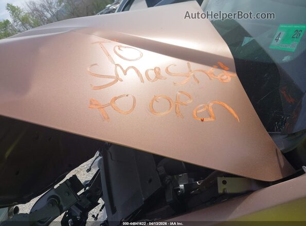 5NMP5DGL1RH045579 2024 HYUNDAI SANTA FE CALLIGRAPHY Коричневый Вид сзади