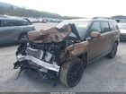 2024 Hyundai Santa Fe Calligraphy Коричневый vin: 5NMP5DGL1RH045579