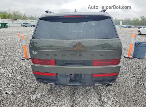 5NMP5DGL4SH068425 2025 HYUNDAI SANTA FE CALLIGRAPHY Зеленый Вид сзади