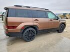 2024 Hyundai Santa Fe Calligraphy Коричневый vin: 5NMP5DGL6RH066735