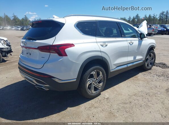 5NMS2DAJ4MH344132 2021 HYUNDAI SANTA FE White უკანა მარჯვენა