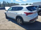 2021 Hyundai Santa Fe Sel White vin: 5NMS2DAJ4MH344132