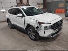 2023 Hyundai Santa Fe Sel White vin: 5NMS2DAJXPH600780