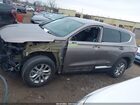 2019 Hyundai Santa Fe Sel Champagne vin: 5NMS3CAD1KH006170