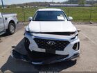 2020 Hyundai Santa Fe Sel Белый vin: 5NMS3CAD5LH181264