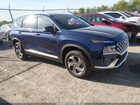 2023 Hyundai Santa Fe Sel Blue vin: 5NMS3DAJ1PH558450