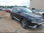 2023 Hyundai Santa Fe Sel Black vin: 5NMS3DAJ3PH580840