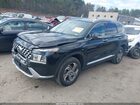 2022 Hyundai Santa Fe Sel Black vin: 5NMS3DAJ4NH475110