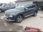 2023 Hyundai Santa Fe Sel Черный vin: 5NMS3DAJ9PH604414