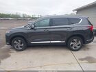 2023 Hyundai Santa Fe Sel Черный vin: 5NMS3DAJ9PH604414