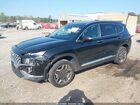 2023 Hyundai Santa Fe Limited Black vin: 5NMS4DAL1PH531828