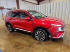 2023 Hyundai Santa Fe Limited Красный vin: 5NMS4DAL9PH533679