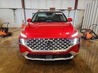 2023 Hyundai Santa Fe Limited Красный vin: 5NMS4DAL9PH533679