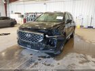 2019 Hyundai Santa Fe Limited Black vin: 5NMS5CAD1KH076889