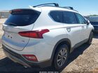 2020 Hyundai Santa Fe Limited Белый vin: 5NMS5CAD8LH224926