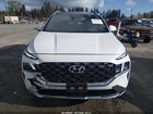2022 Hyundai Santa Fe Calligraphy White vin: 5NMS5DAL0NH447140