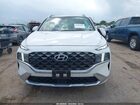 2021 Hyundai Santa Fe Calligraphy White vin: 5NMS5DAL6MH321864