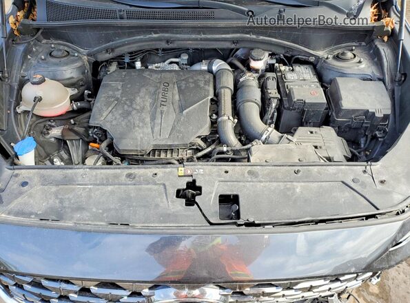 5NMS5DAL8MH355675 2021 HYUNDAI SANTA FE CALLIGRAPHY Gray Vista del compartimento del motor
