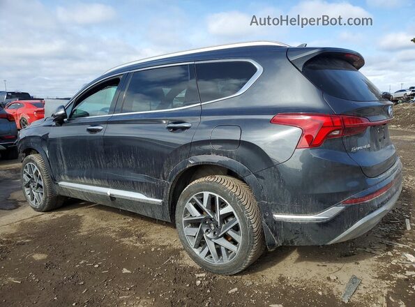 5NMS5DAL8MH355675 2021 HYUNDAI SANTA FE CALLIGRAPHY Gray Trasero izquierdo
