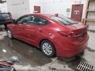 2017 Hyundai Elantra Se Красный vin: 5NPD74LF3HH204522 2017 Hyundai Elantra Se Красный vin: 5NPD74LF3HH204522