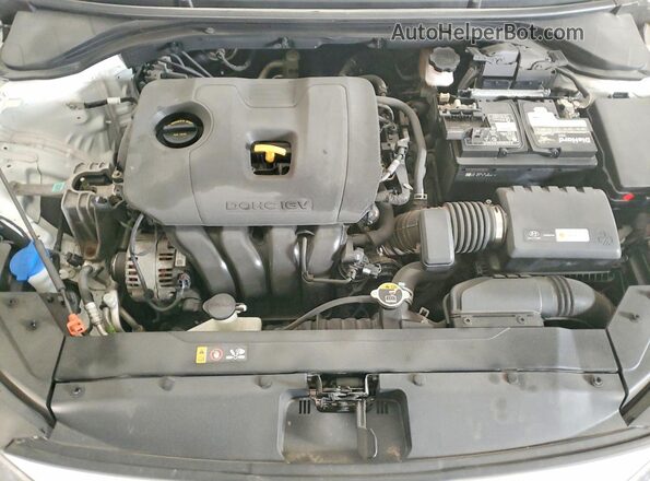 5NPD74LF4KH481493 2019 HYUNDAI ELANTRA Белый Вид задней части салона