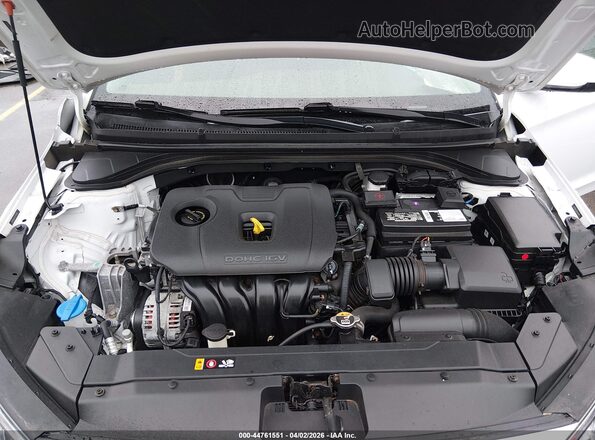 5NPD84LF2LH561695 2020 HYUNDAI ELANTRA Белый Вид сзади