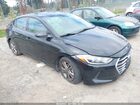 5NPD84LF7HH194347