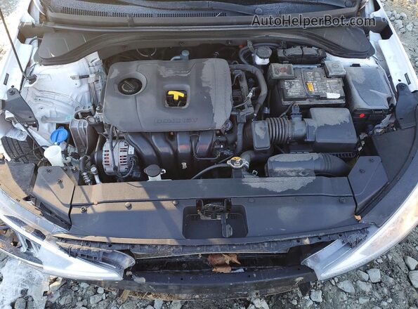 5NPD84LFXLH626969 2020 HYUNDAI ELANTRA Белый Вид задней части салона