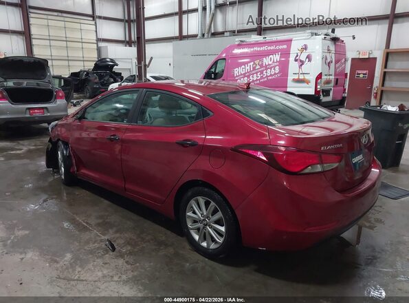 5NPDH4AE4GH698024 2016 HYUNDAI ELANTRA Red Tył lewy