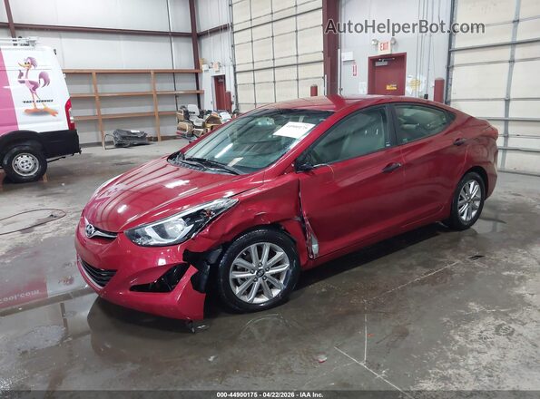 5NPDH4AE4GH698024 2016 HYUNDAI ELANTRA Red Przód lewy