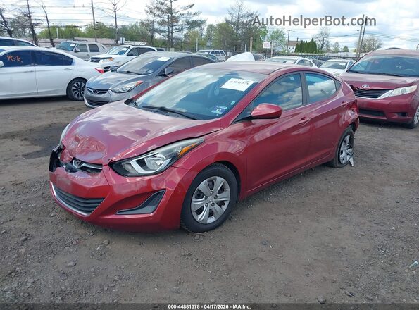 5NPDH4AE9GH665665 2016 HYUNDAI ELANTRA Красный Передняя левая четверть