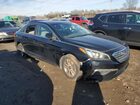 2016 Hyundai Sonata Se Black vin: 5NPE24AF1GH422575