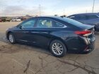 2019 Hyundai Sonata Se Черный vin: 5NPE24AF2KH740701