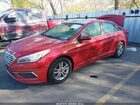 2017 Hyundai Sonata   Бордовый vin: 5NPE24AF4HH517570