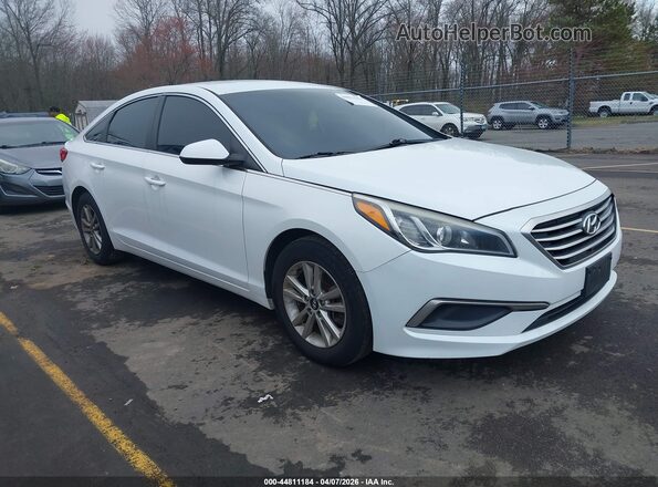 5NPE24AF6GH274195 2016 HYUNDAI SONATA Белый Передняя правая четверть