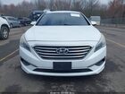 2016 Hyundai Sonata Se Белый vin: 5NPE24AF6GH274195