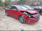 2017 Hyundai Sonata   Red vin: 5NPE24AF8HH493192