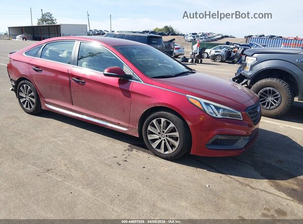 5NPE34AF0GH347283 2016 HYUNDAI SONATA Красный Передняя правая четверть