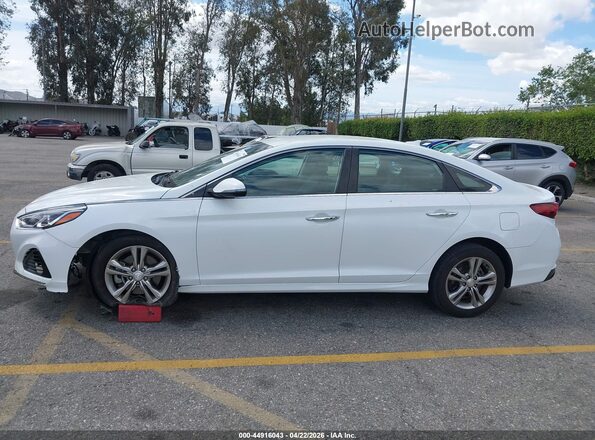 5NPE34AF0KH763374 2019 HYUNDAI SONATA Белый Панорамный вид салона 360°