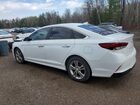 2019 Hyundai Sonata Sel White vin: 5NPE34AF2KH760167