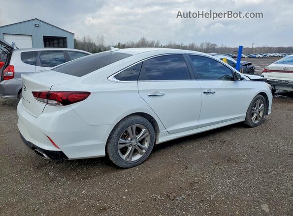 5NPE34AF2KH760167 2019 HYUNDAI SONATA White უკანა მარჯვენა