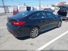 2017 Hyundai Sonata Sport Черный vin: 5NPE34AF5HH554253